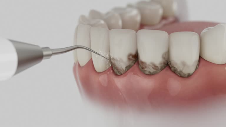 Reliable Dental contractor in Lagrange, IN by Dentist Open Now